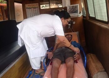 Honeybee attack on passersby