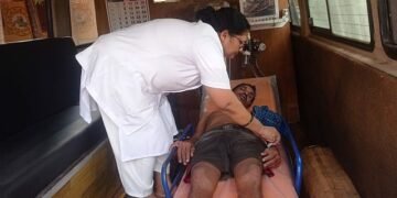 Honeybee attack on passersby