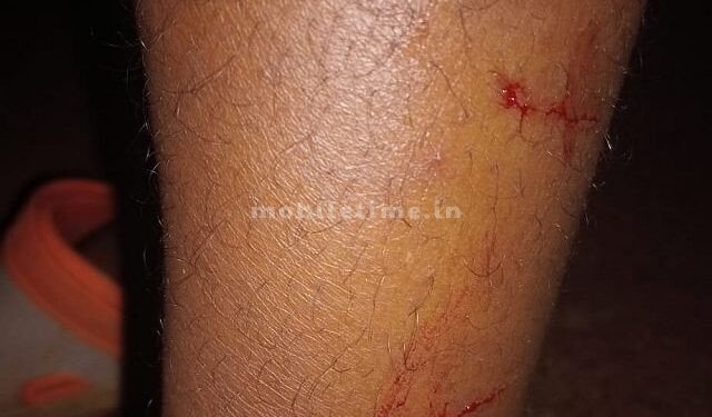 A baby leopard chases bikers!