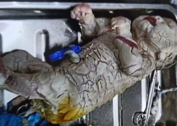 A terrifying baby that woke up its parents!