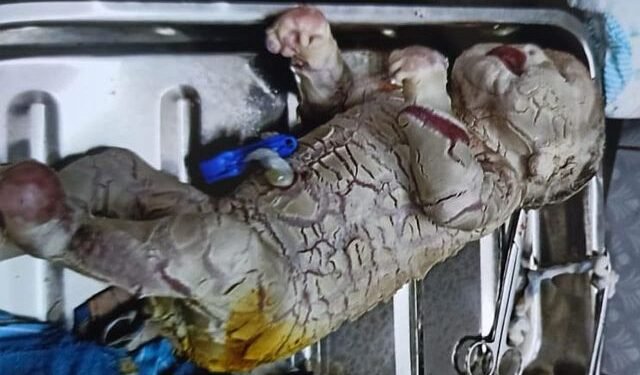 A terrifying baby that woke up its parents!