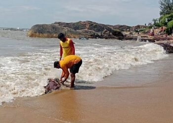 A tourist lost his life due to selfie madness!