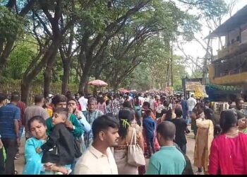 Crowds at the Dandelappa Fair!