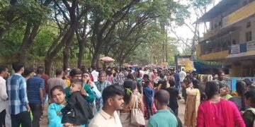 Crowds at the Dandelappa Fair!