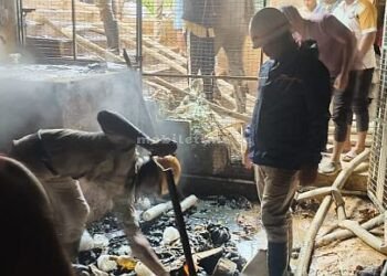 Electrical accident Agricultural warehouse gutted in fire