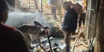 Electrical accident Agricultural warehouse gutted in fire