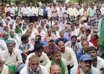 Forest Cry Instead of harassing them all the time kill them once!