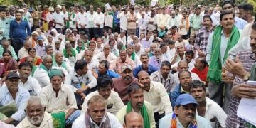 Forest Cry Instead of harassing them all the time kill them once!