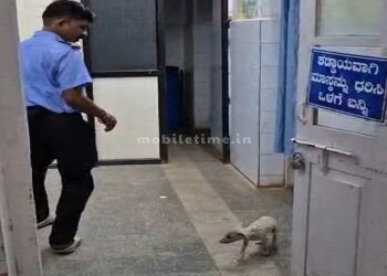 Itchy dog ​​threatens security guard!