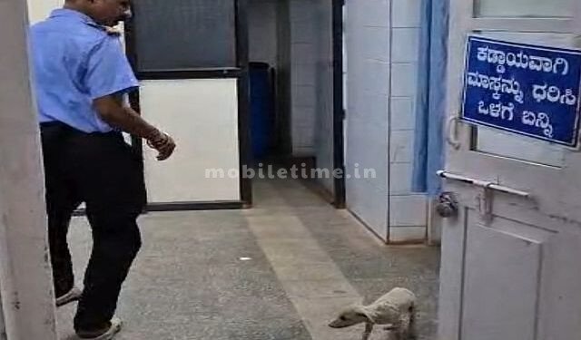 Itchy dog ​​threatens security guard!