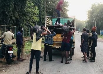 Operation Handi was a half-baked operation!