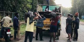 Operation Handi was a half-baked operation!