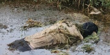 Soldier's body found in a muddy field!