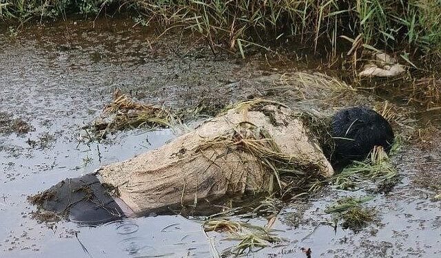 Soldier's body found in a muddy field!