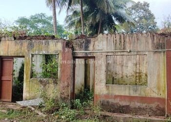 The roof of the village council that covered the president's house!