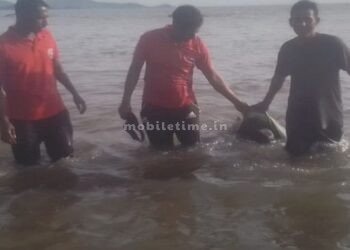 Worker killed in crash of waves