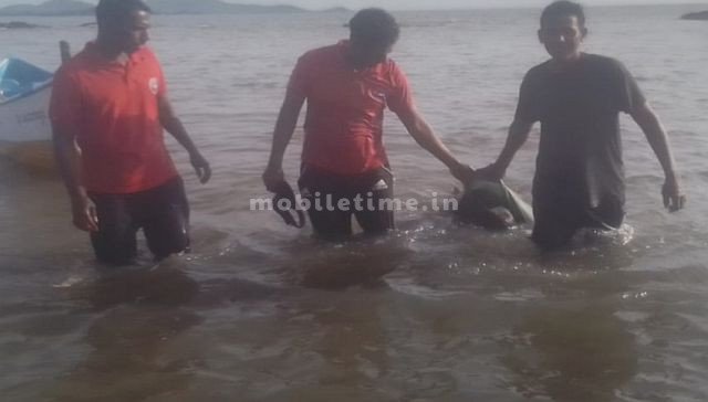 Worker killed in crash of waves