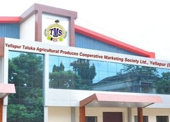 Yallapur TMS a hotbed of confusion