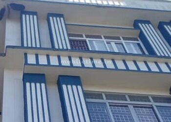 A bee attack on a fighter!