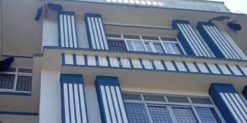 A bee attack on a fighter!