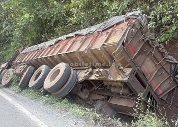 Driver dies after jumping off lorry and falling to the ground!