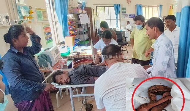 He came to the hospital with a snake bite in his hand!