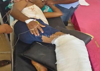 Leg cut The staff at the welfare center are not happy!