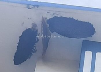 The administrative building is a beehive that never leaves!