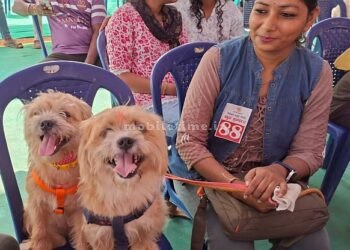 25 thousand reward for the lucky dog!