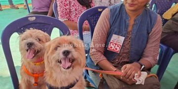 25 thousand reward for the lucky dog!