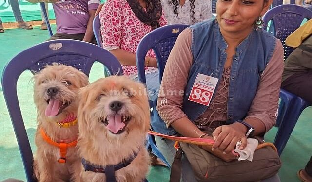 25 thousand reward for the lucky dog!