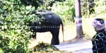 A lone man protested by blocking the road!