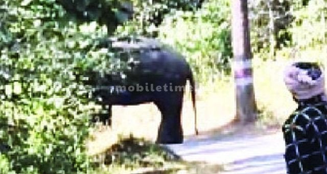 A lone man protested by blocking the road!