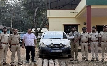 A piece of luggage in a car that arrived in the dark!