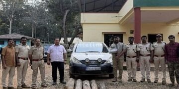 A piece of luggage in a car that arrived in the dark!