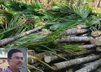 Areca tree burning Farmers' union outraged