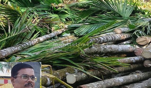 Areca tree burning Farmers' union outraged