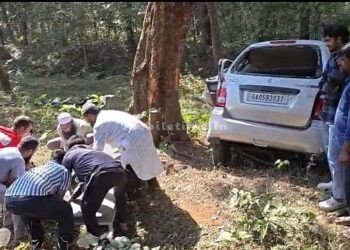 Car crashes into tree driver dies