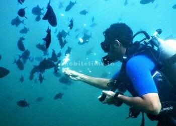 Netrani The dark shadow of cybercrime also looms over tourism!