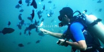 Netrani The dark shadow of cybercrime also looms over tourism!