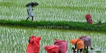 No right to temporary employment!