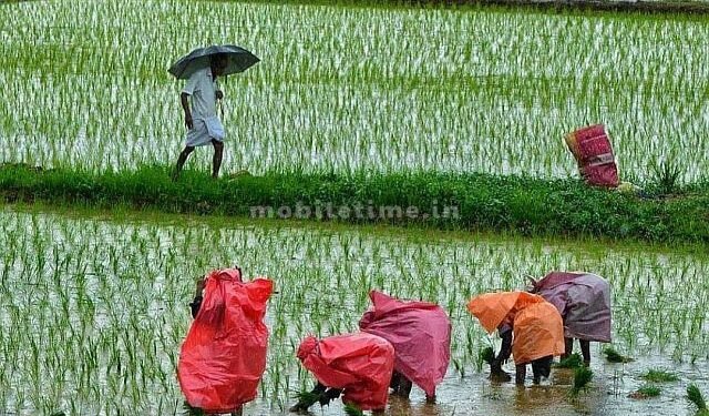 No right to temporary employment!