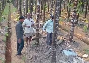 Take your life before the space is cleared!