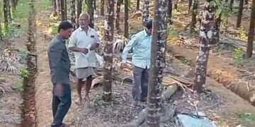 Take your life before the space is cleared!