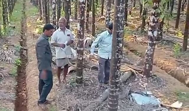 Take your life before the space is cleared!