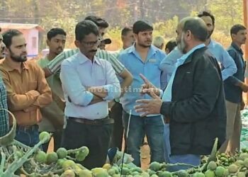 The honor of going to the Areca nut!