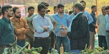 The honor of going to the Areca nut!