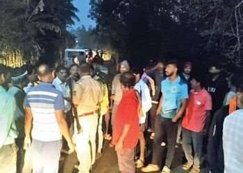 Those who waited all night stopped the cow transport!