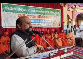 Bommai Not only is there no hair on the head... there is no brain either!