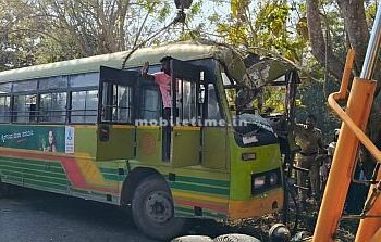 Bus hits tree 20 people injured!
